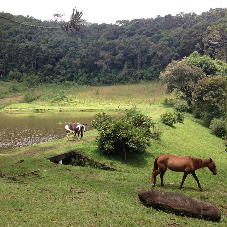 Green Mountains Hotel Monteverde Extérieur photo