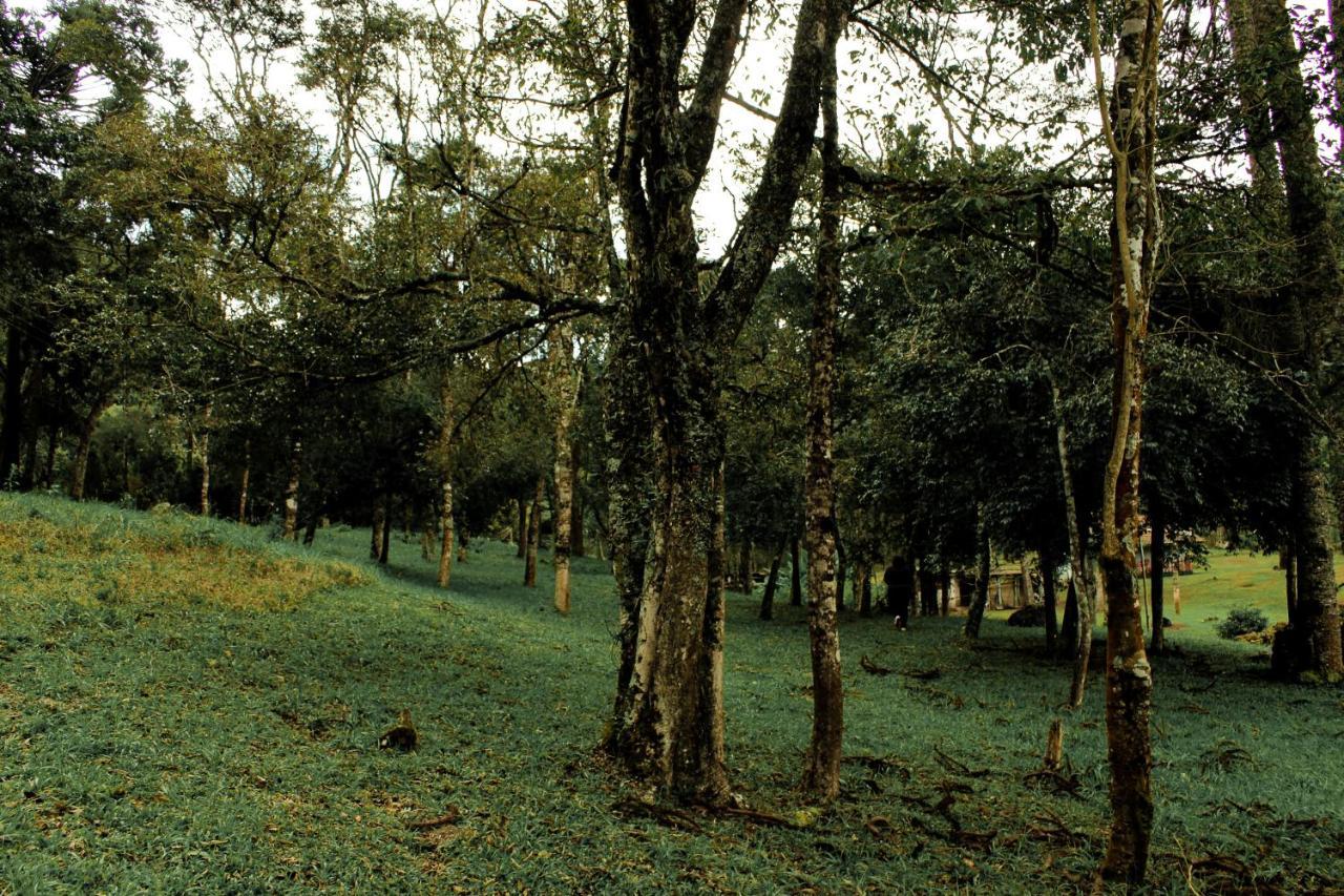 Green Mountains Hotel Monteverde Extérieur photo